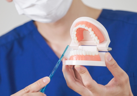 2.ブラッシング指導